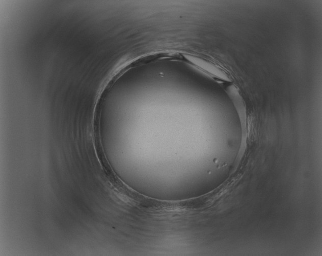 X0000067520195200604211826