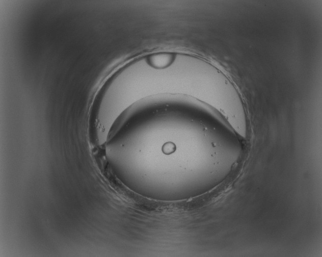 X0000067520199200604211826