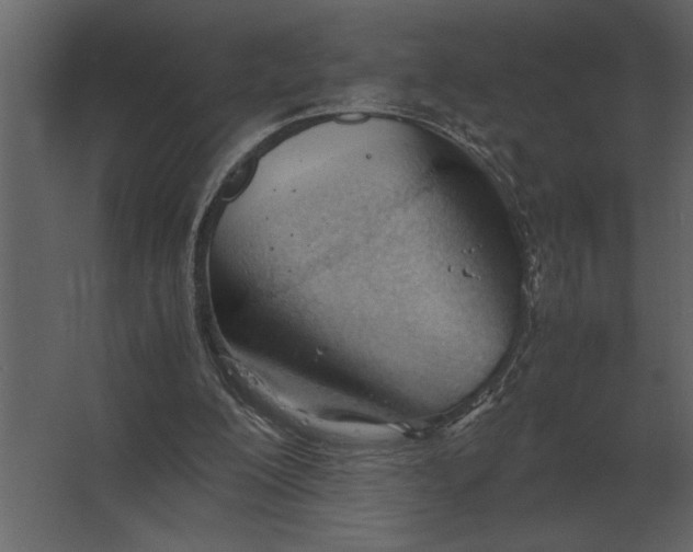 X0000067520200200604211826