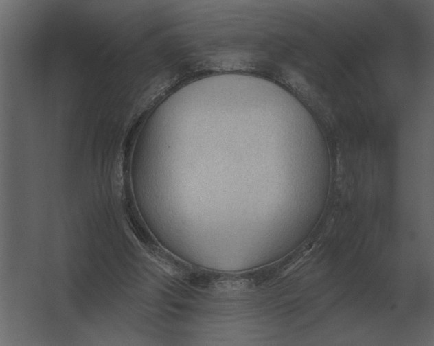 X0000067520202200604211826