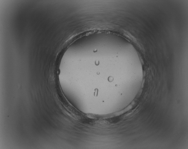 X0000067520203200604211826