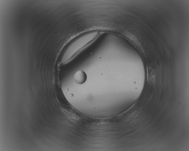 X0000067520204200604211825