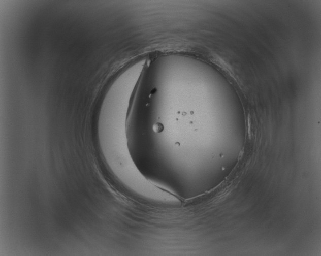 X0000067520205200604211825