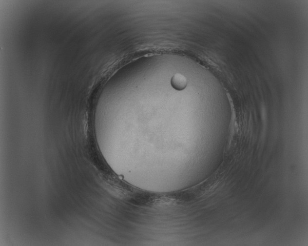 X0000067520206200604211825