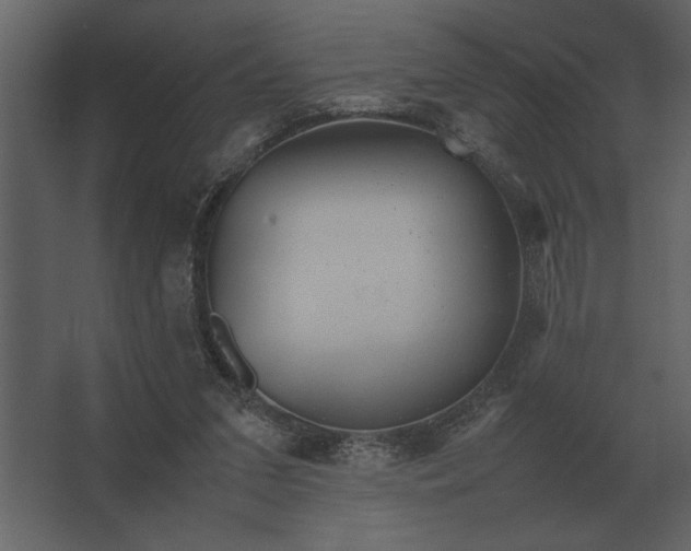 X0000067520207200604211825