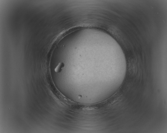 X0000067520208200604211825