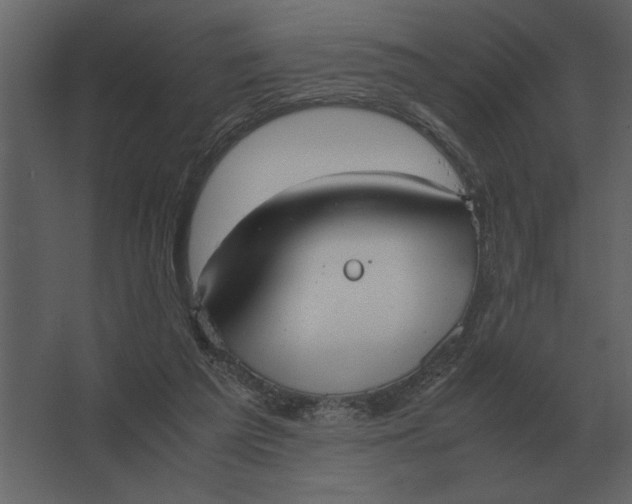 X0000067520209200604211825