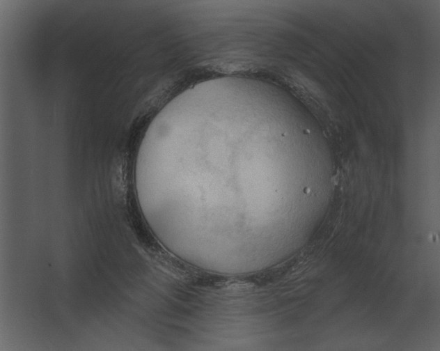 X0000067520210200604211825