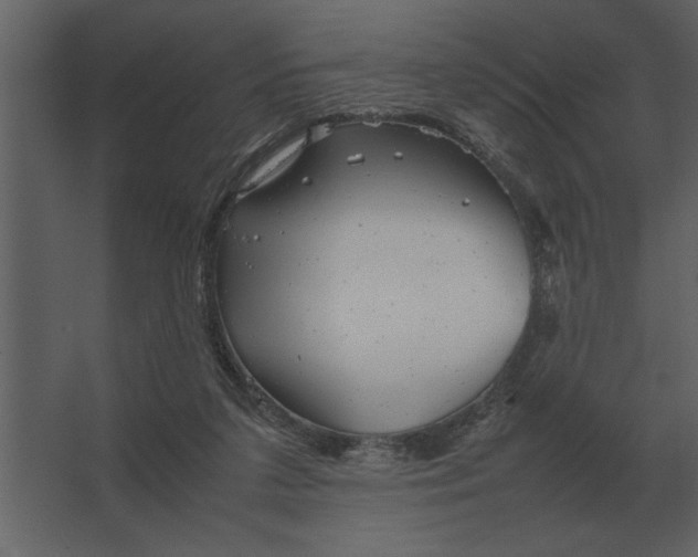 X0000067520211200604211825