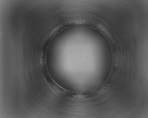 X0000067520212200604211825