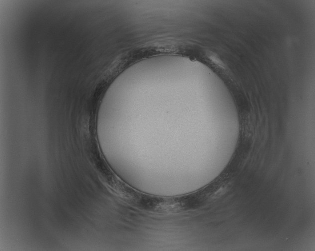 X0000067520213200604211825