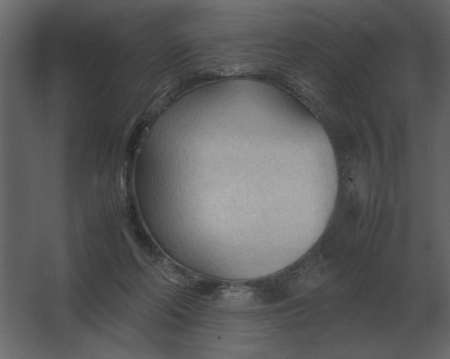 X0000067520214200604211825