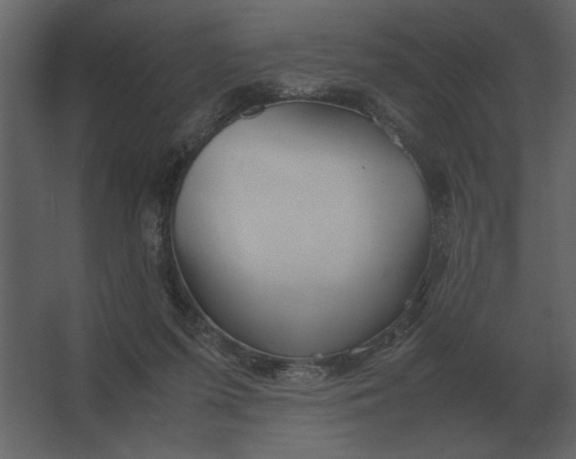 X0000067520215200604211825