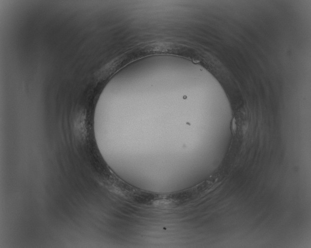 X0000067520216200604211825