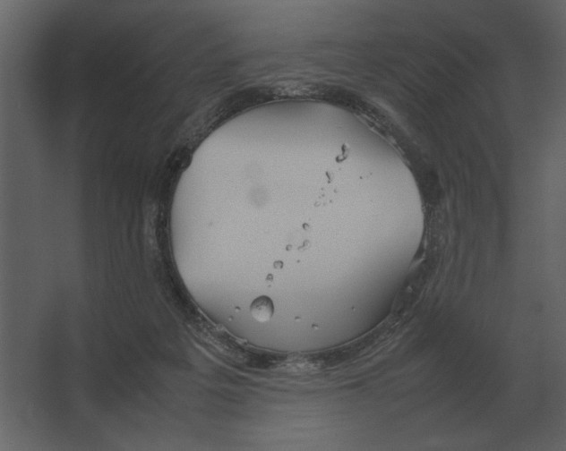 X0000067520217200604211825