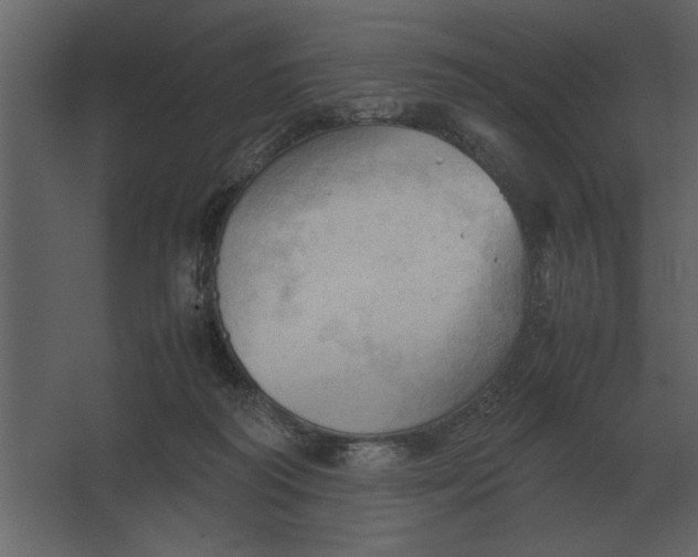 X0000067520218200604211825