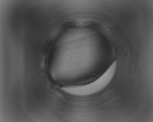 X0000067520219200604211825