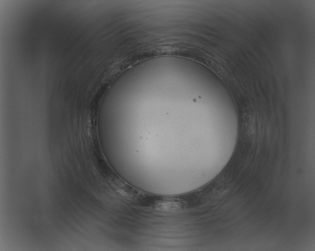 X0000067520220200604211825