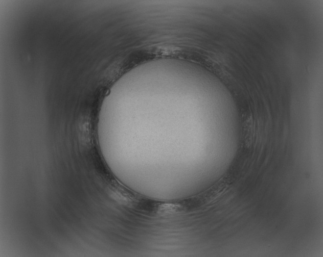 X0000067520222200604211825