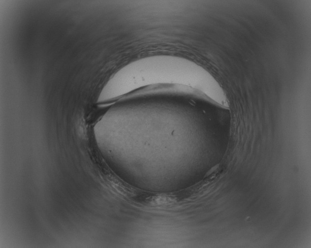 X0000067520223200604211825