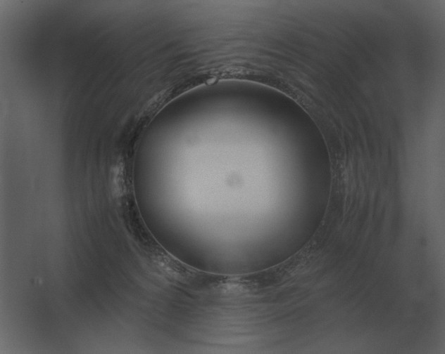 X0000067520224200604211825