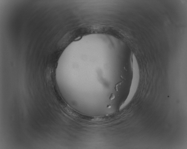 X0000067520225200604211825