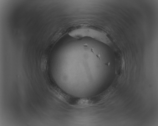 X0000067520227200604211825