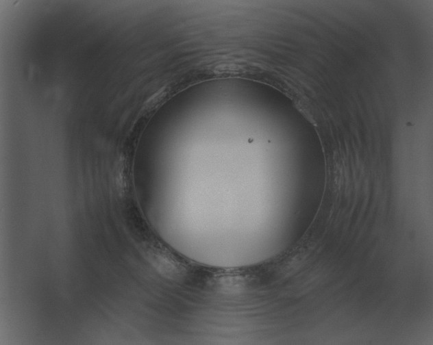 X0000067520228200604211825