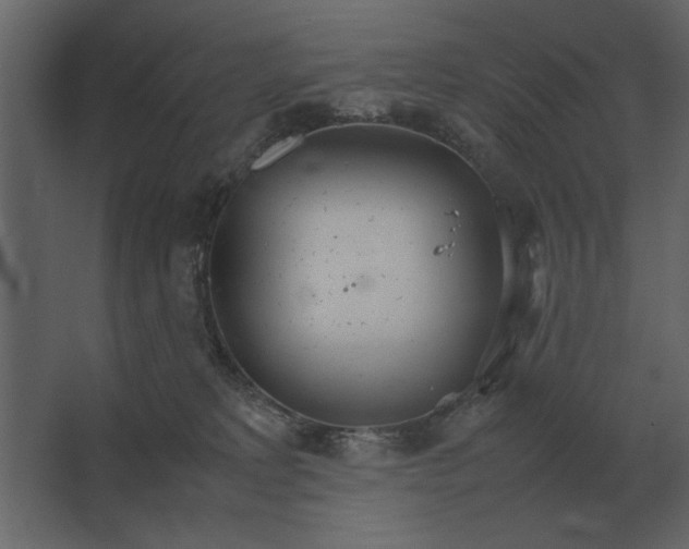 X0000067520229200604211825