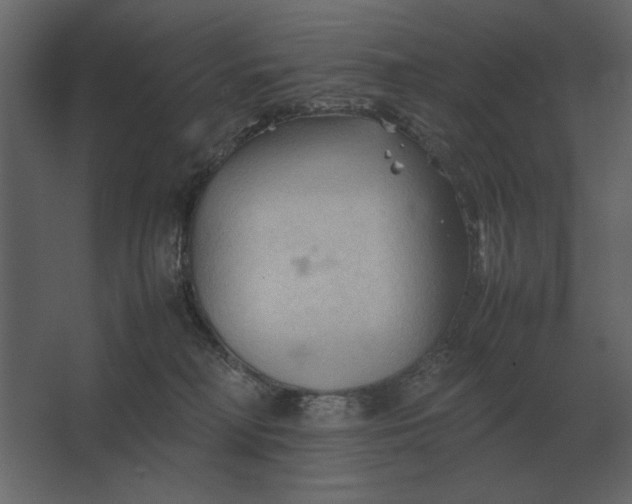 X0000067520230200604211825