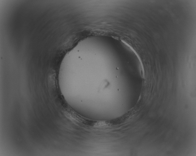 X0000067520231200604211825