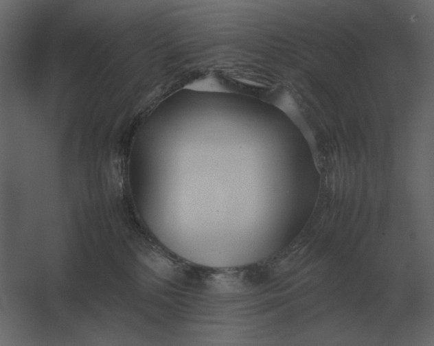 X0000067520232200604211825