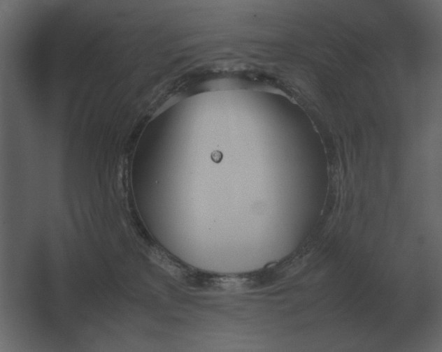 X0000067520233200604211825