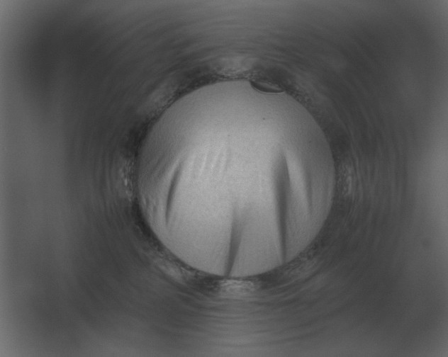 X0000067520234200604211825