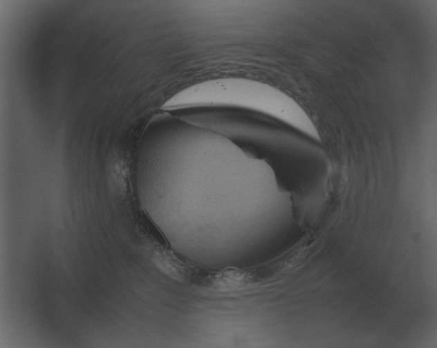 X0000067520235200604211825