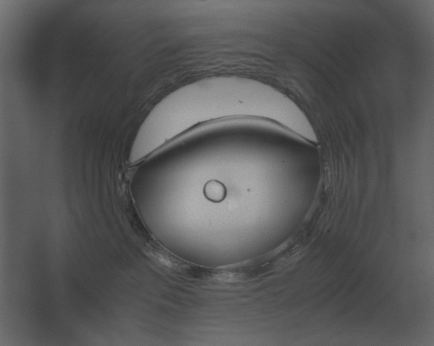 X0000067520237200604211825