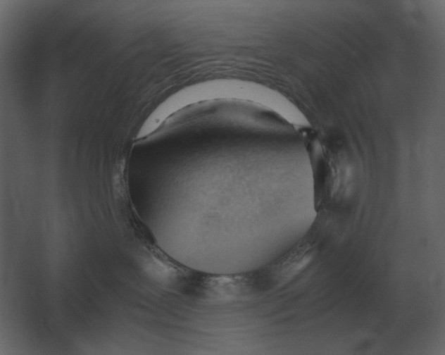 X0000067520239200604211825