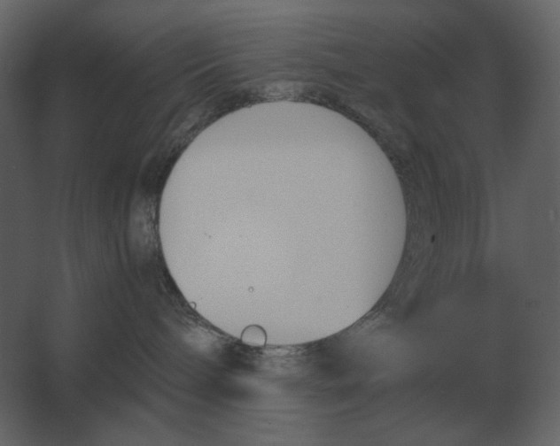 X0000067520240200604211825