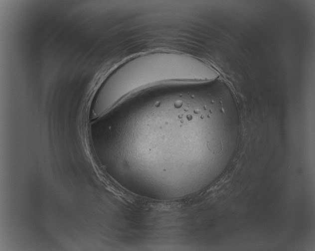 X0000067520241200604211824