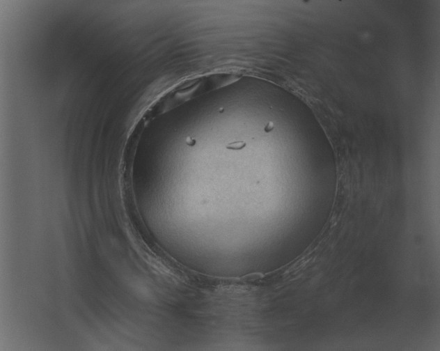 X0000067520242200604211824