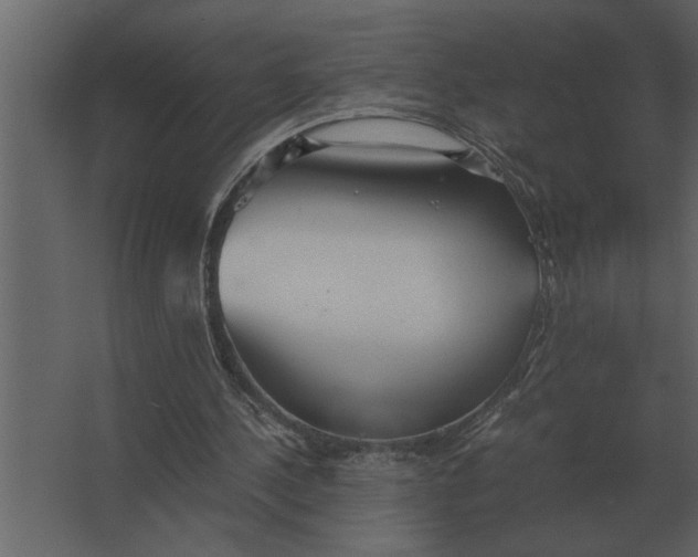 X0000067520244200604211824