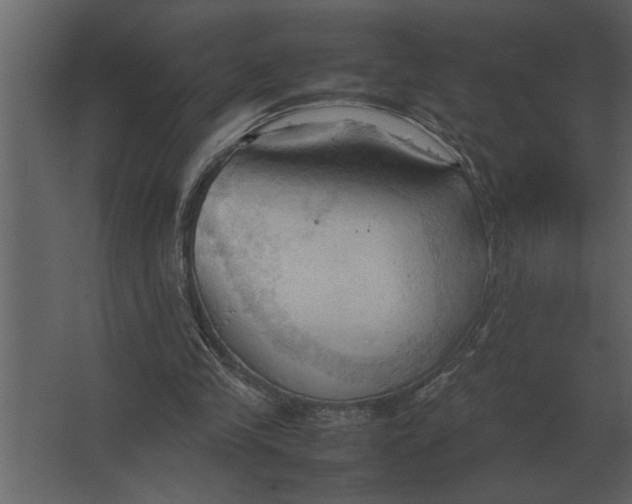 X0000067520245200604211824