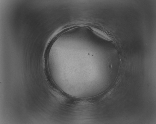 X0000067520246200604211824