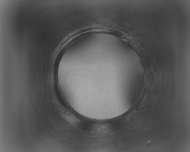 X0000067520247200604211824