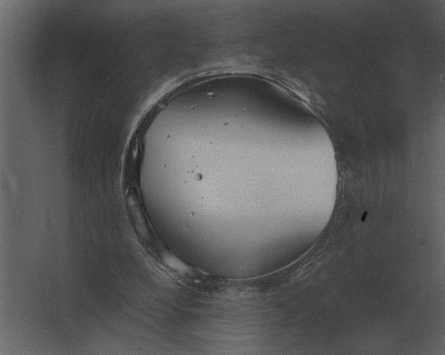 X0000067520248200604211824