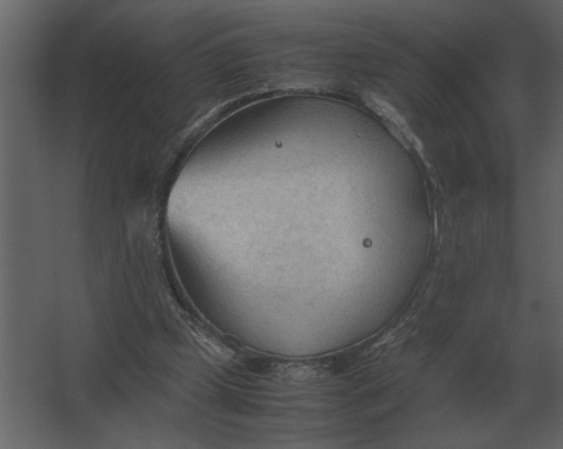 X0000067520249200604211824