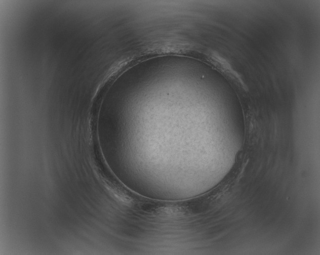 X0000067520250200604211824