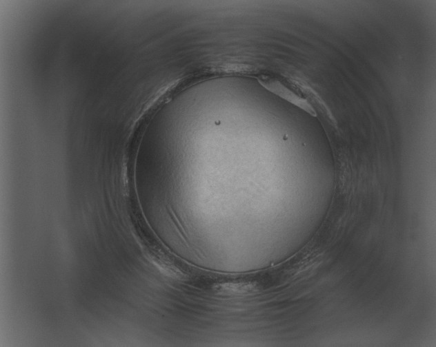 X0000067520251200604211824