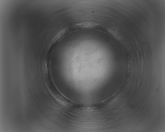 X0000067520254200604211824