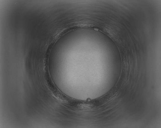 X0000067520255200604211824